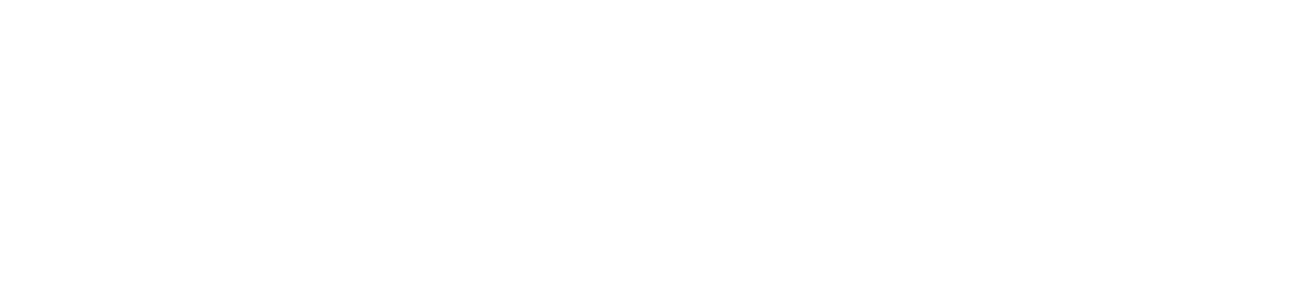 Verizon_SolidWordmark_wht_RGB-1